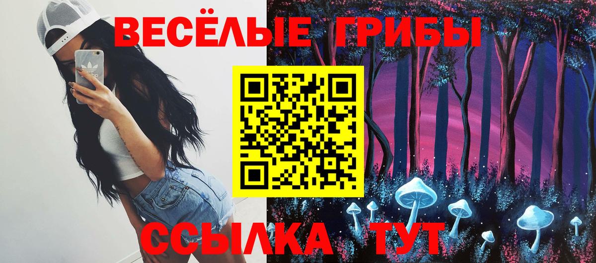 Псилоцибиновые грибы GOLDEN TEACHER Биробиджан