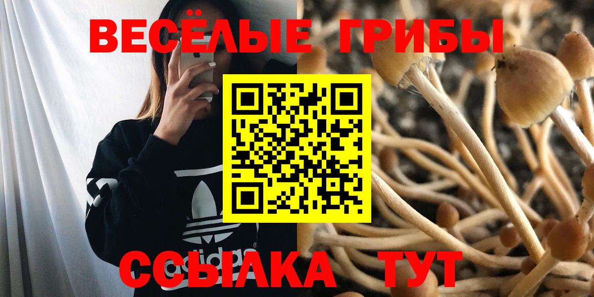 Галлюциногенные грибы MAGIC MUSHROOMS  Вход с VPN  Биробиджан 